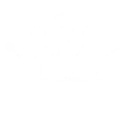 win-wise logo